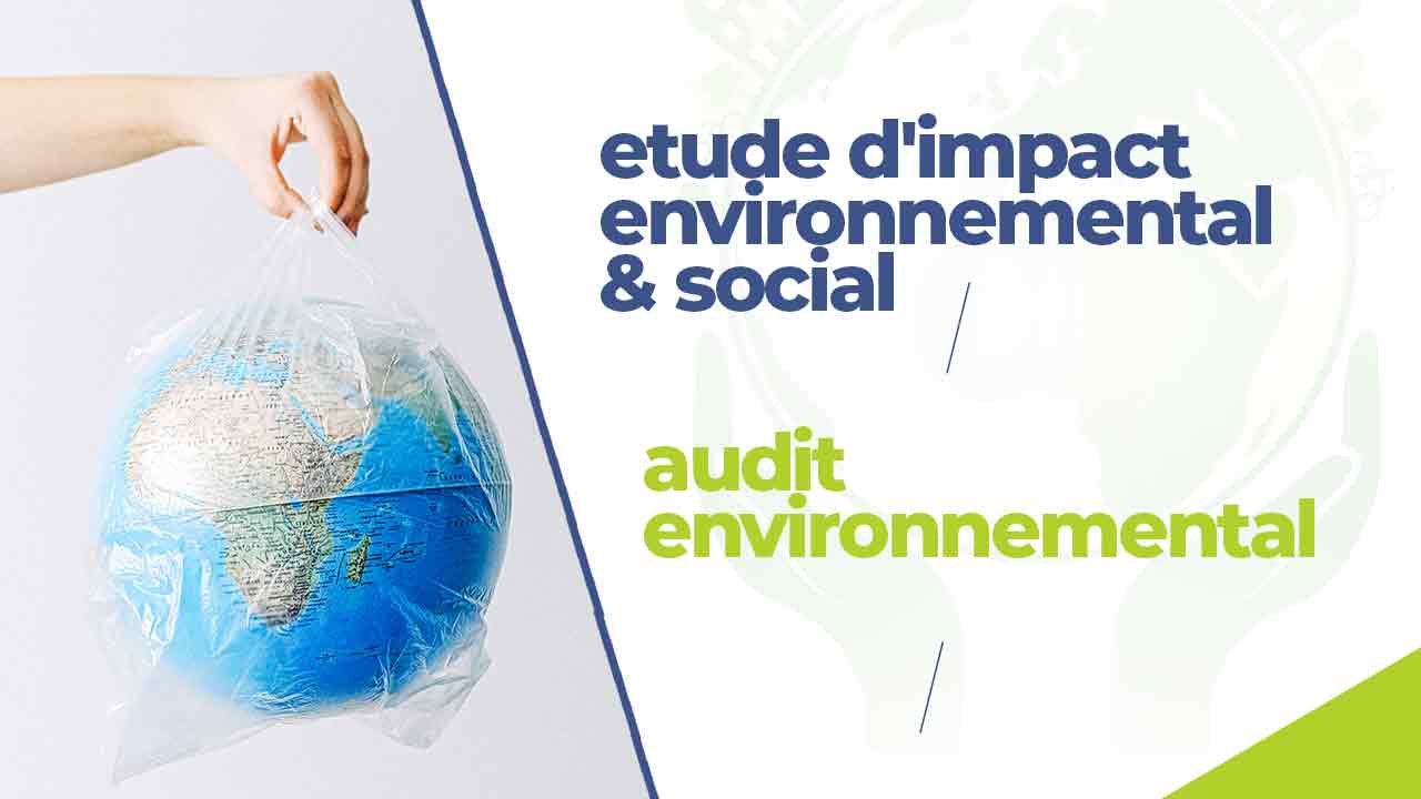 Létude dimpact environnemental et social Procédure administrative