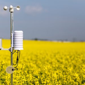 Agriculture Climato intelligente