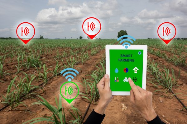 Agriculture intelligente : Enjeux, démarche, bonnes pratiques et success stories (En Ligne)