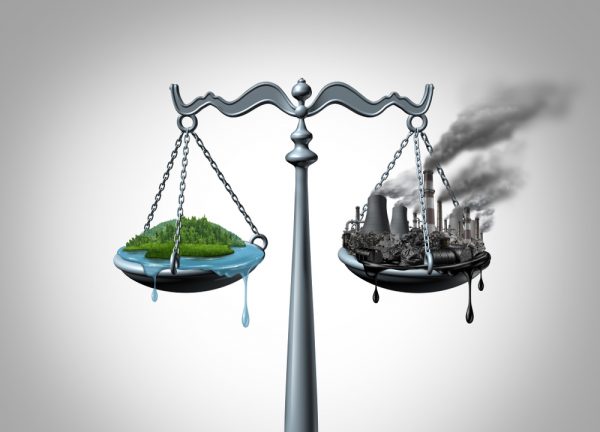 Évaluations environnementales des politiques et projets de développement(En Ligne)