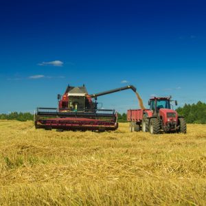Mener une évaluation de la sécurité alimentaire (En Ligne)