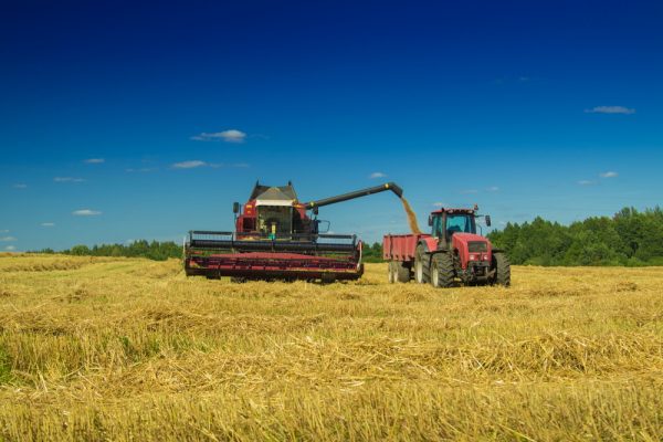 Mener une évaluation de la sécurité alimentaire (En Présentiel)