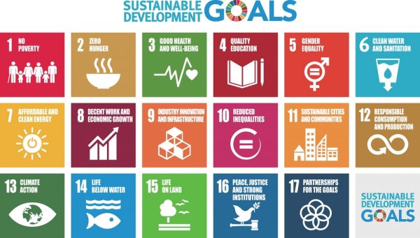 Stratégie et budgétisation des objectifs de développement durable (ODD)(En Présentiel)