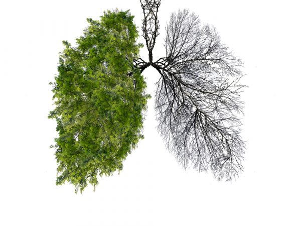 Politiques et mesures d'atténuation et d'adaptation au Changement Climatique dans le secteur de la santé (En Ligne)