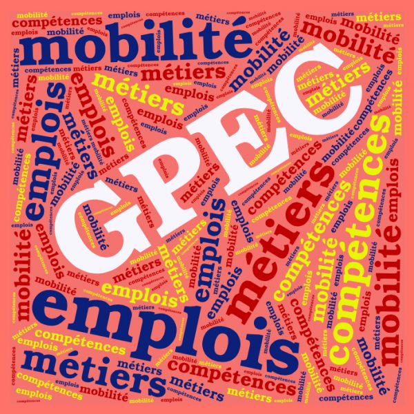 La gestion prévisionnelle des emplois et compétences (GPEC) (En Présentiel)