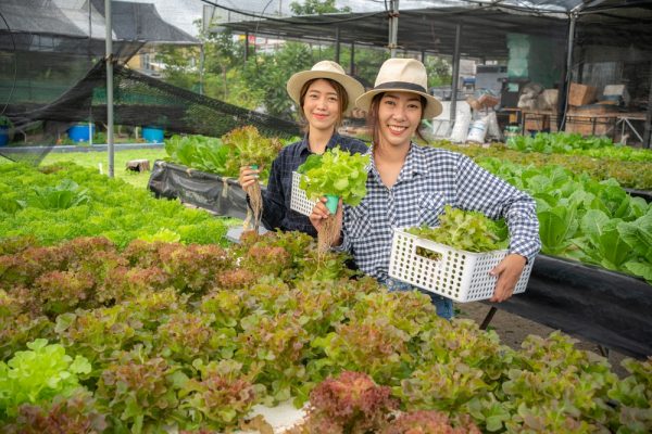 Conception et mise en œuvre des projets participatifs de nutrition (En Présentiel)