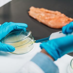 Garantir la sécurité sanitaire et la qualité des aliments : renforcer les systèmes nationaux de contrôle alimentaire (En Ligne)