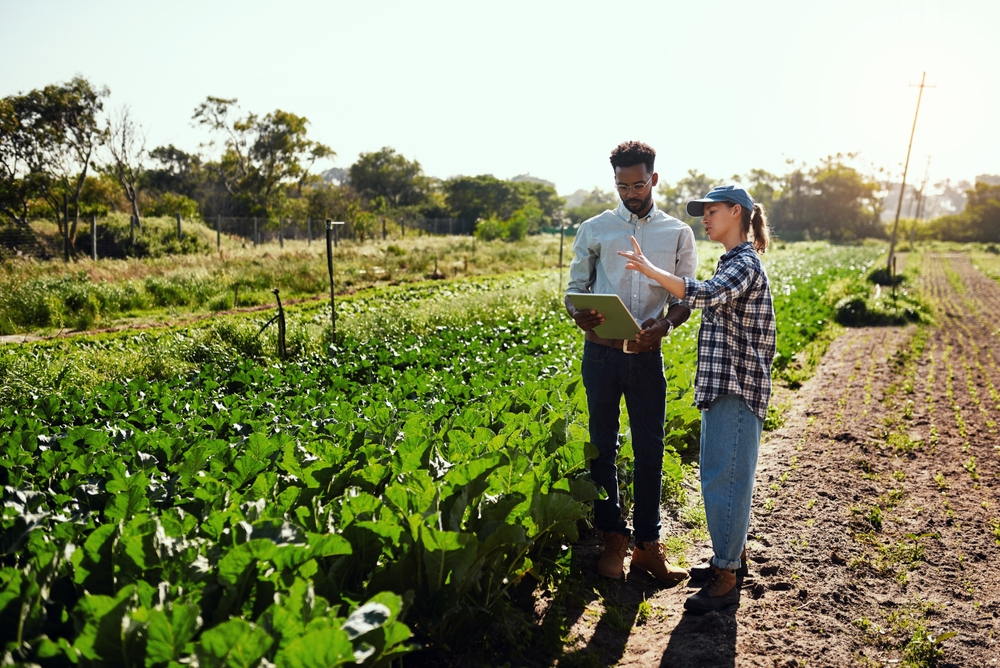 Quelles stratégies pour accompagner l’entrepreneur agricole ? (En Ligne)