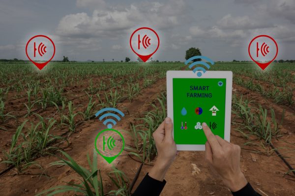 Agriculture intelligente : Enjeux, démarche, bonnes pratiques et success stories (En présentiel)