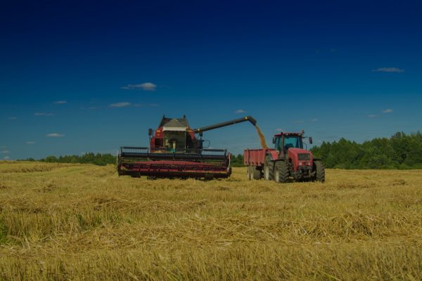 Mener une évaluation de la sécurité alimentaire (En présentiel​)