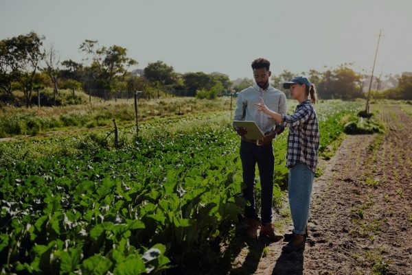 Quelles stratégies pour accompagner l’entrepreneur agricole ?(En Ligne)