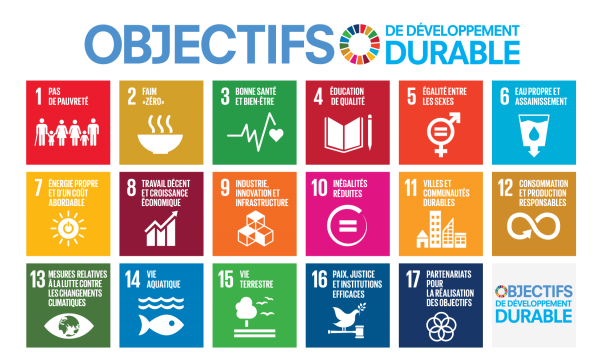 Comprendre et analyser des enjeux et des actions du développement durable