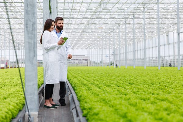 Systèmes d’information sur la sécurité alimentaire