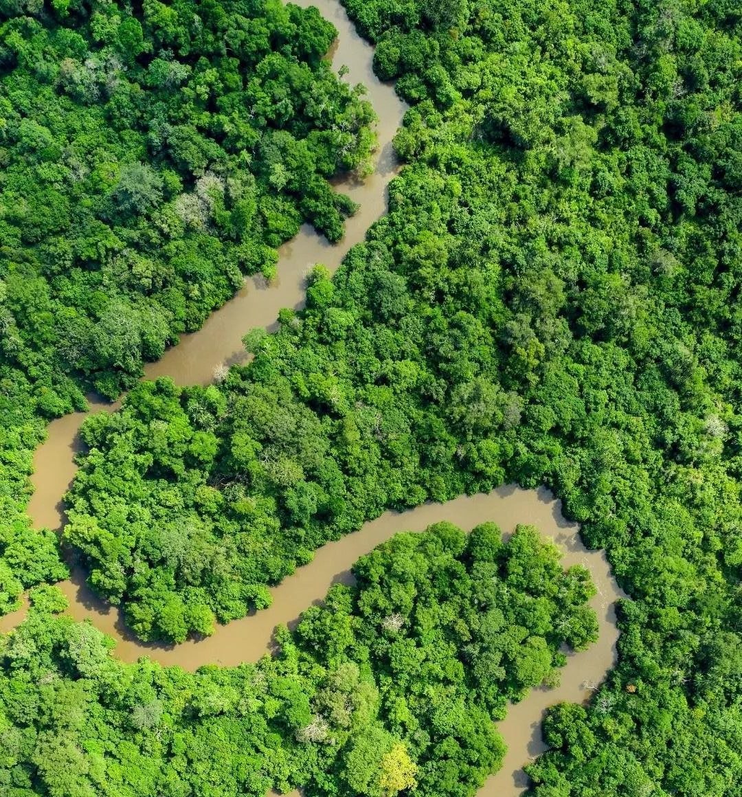 formations en biodiversité-afrique